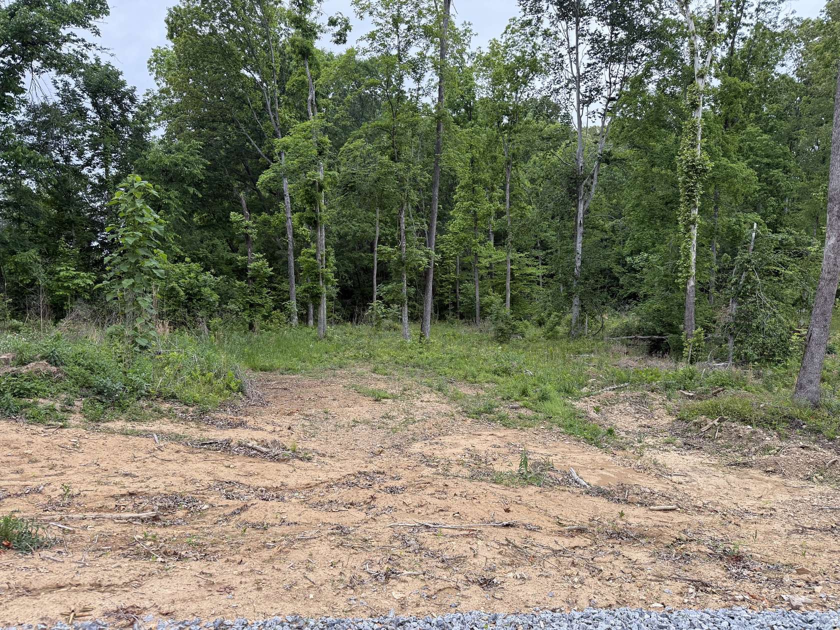 5 Acres of Residential Land for Sale in Erin, Tennessee