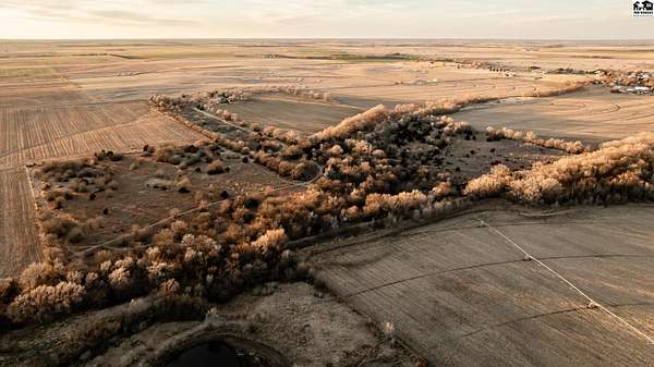 110 Acres of Land for Sale in Pretty Prairie, Kansas