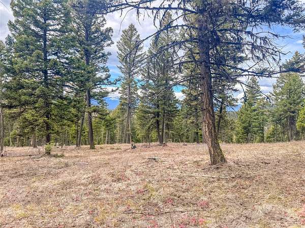 80 Acres of Recreational Land for Sale in Clinton, Montana