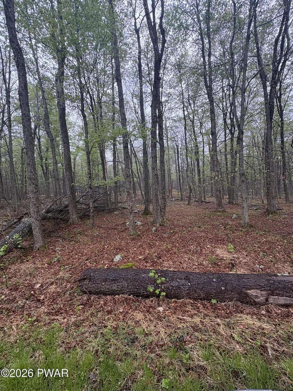 0.29 Acres of Residential Land for Sale in South Sterling, Pennsylvania
