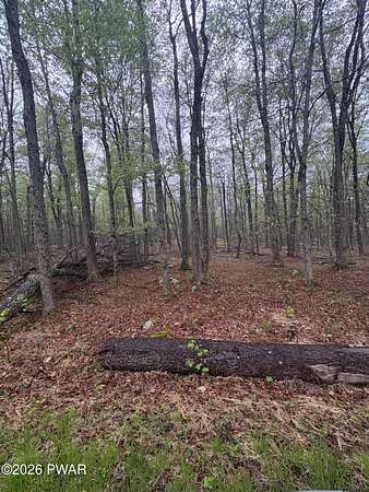 0.29 Acres of Residential Land for Sale in South Sterling, Pennsylvania