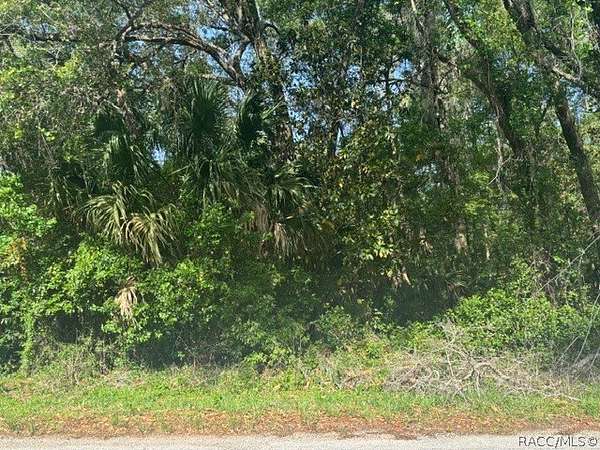 0.7 Acres of Residential Land for Sale in Inverness, Florida