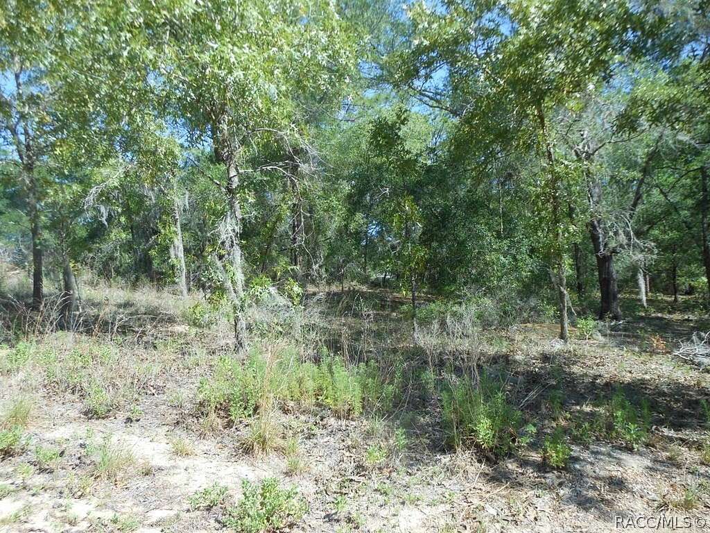 0.4 Acres of Land for Sale in Inverness, Florida