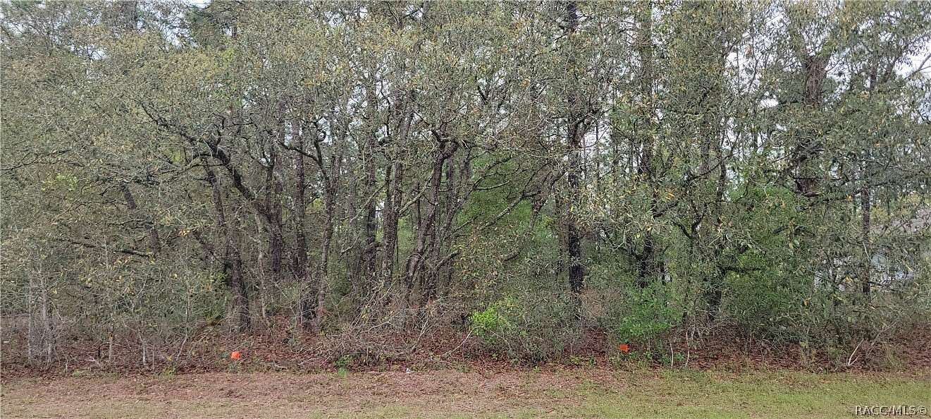 0.23 Acres of Residential Land for Sale in Citrus Springs, Florida