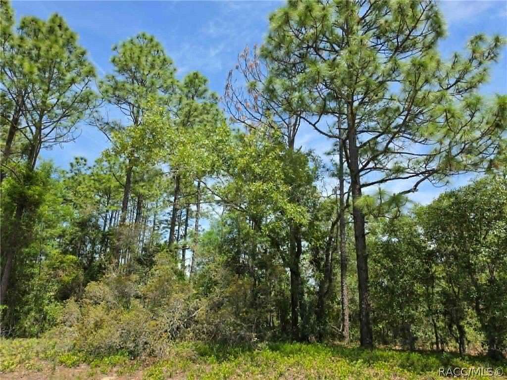 0.28 Acres of Land for Sale in Dunnellon, Florida