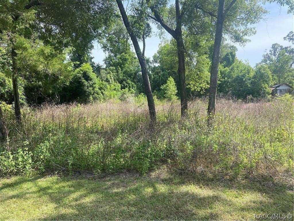 0.03 Acres of Residential Land for Sale in Holder, Florida