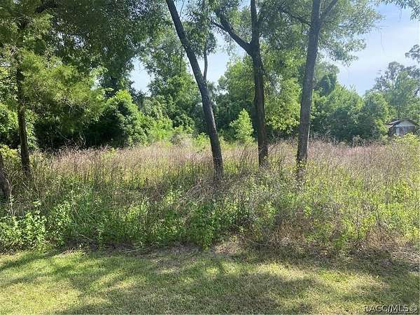 0.03 Acres of Residential Land for Sale in Holder, Florida