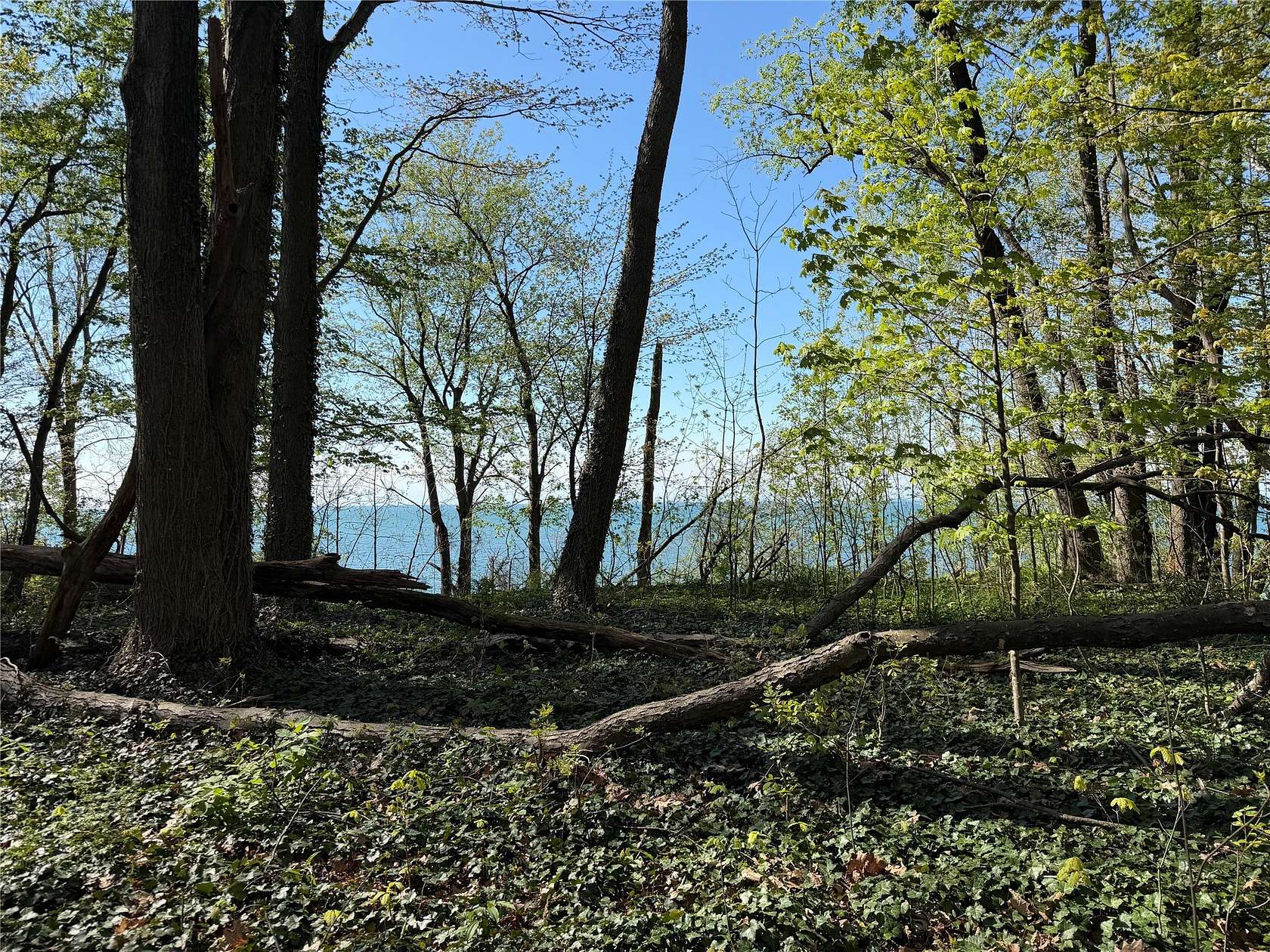 1 Acre of Residential Land for Sale in Lawrence Park, Pennsylvania