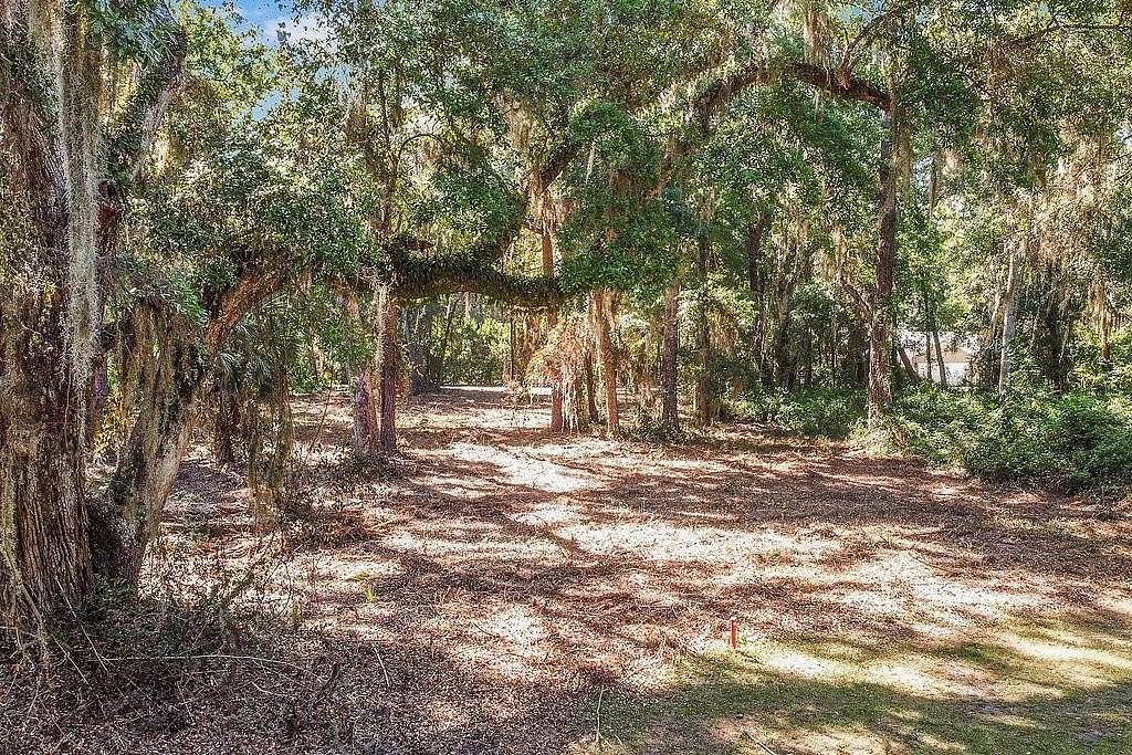 0.79 Acres of Land for Sale in Darien, Georgia