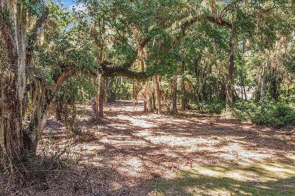 0.79 Acres of Land for Sale in Darien, Georgia