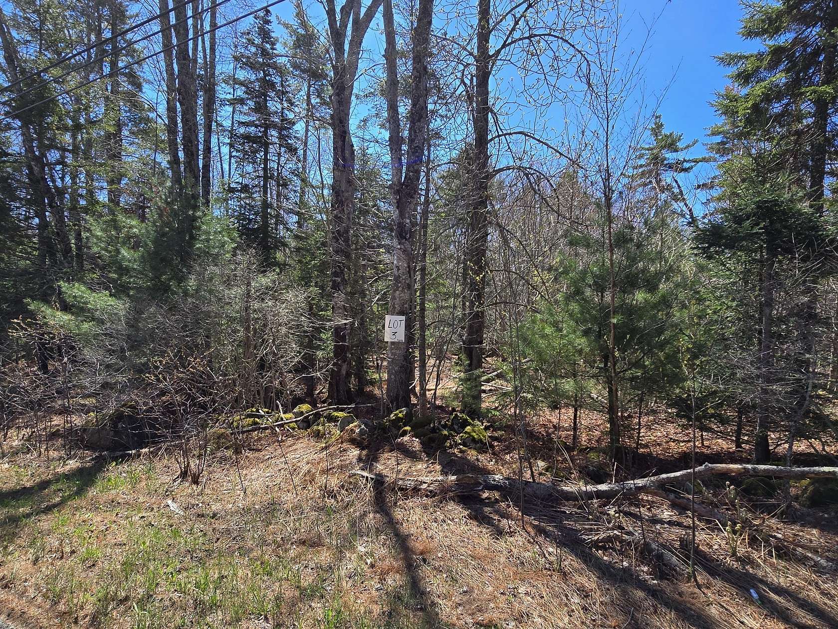3.66 Acres of Land for Sale in Saint George, Maine