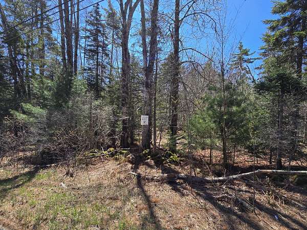 3.66 Acres of Land for Sale in Saint George, Maine