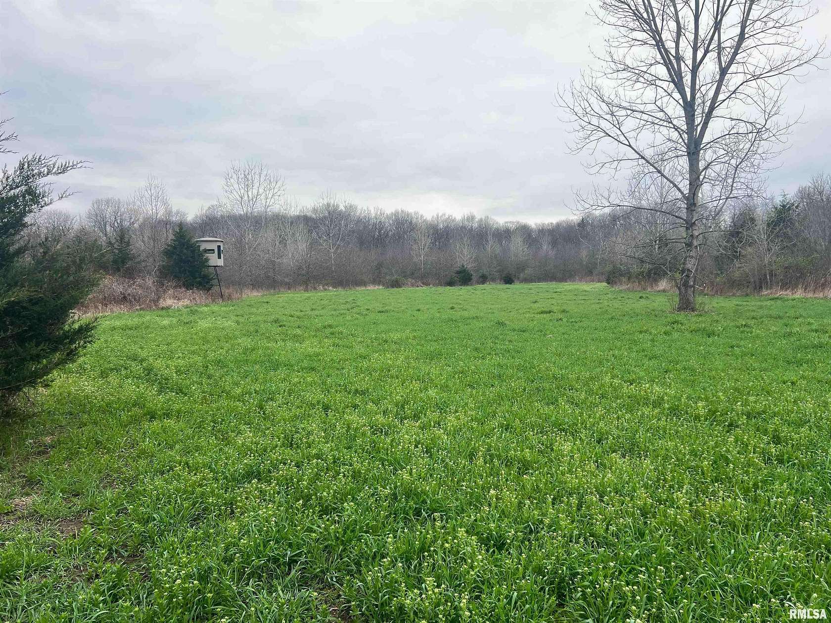 45 Acres of Land for Sale in Plymouth, Illinois