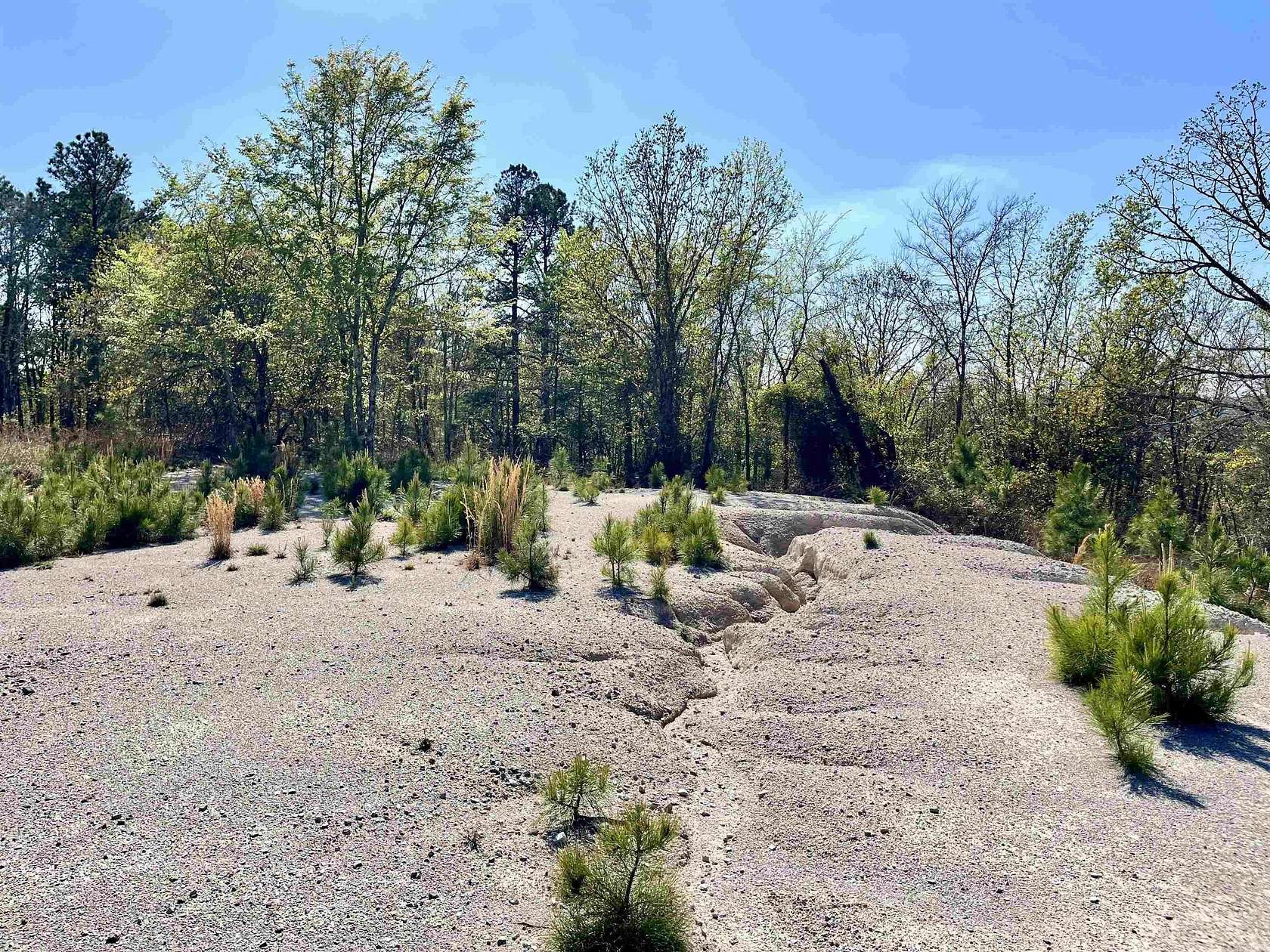 30 Acres of Recreational Land for Sale in Hot Springs, Arkansas