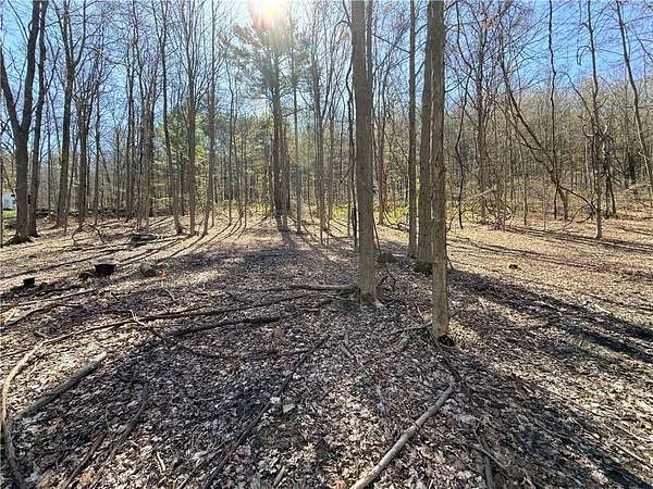 1 Acre of Land for Sale in Burdett, New York