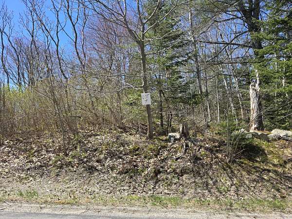 2 Acres of Residential Land for Sale in Saint George, Maine