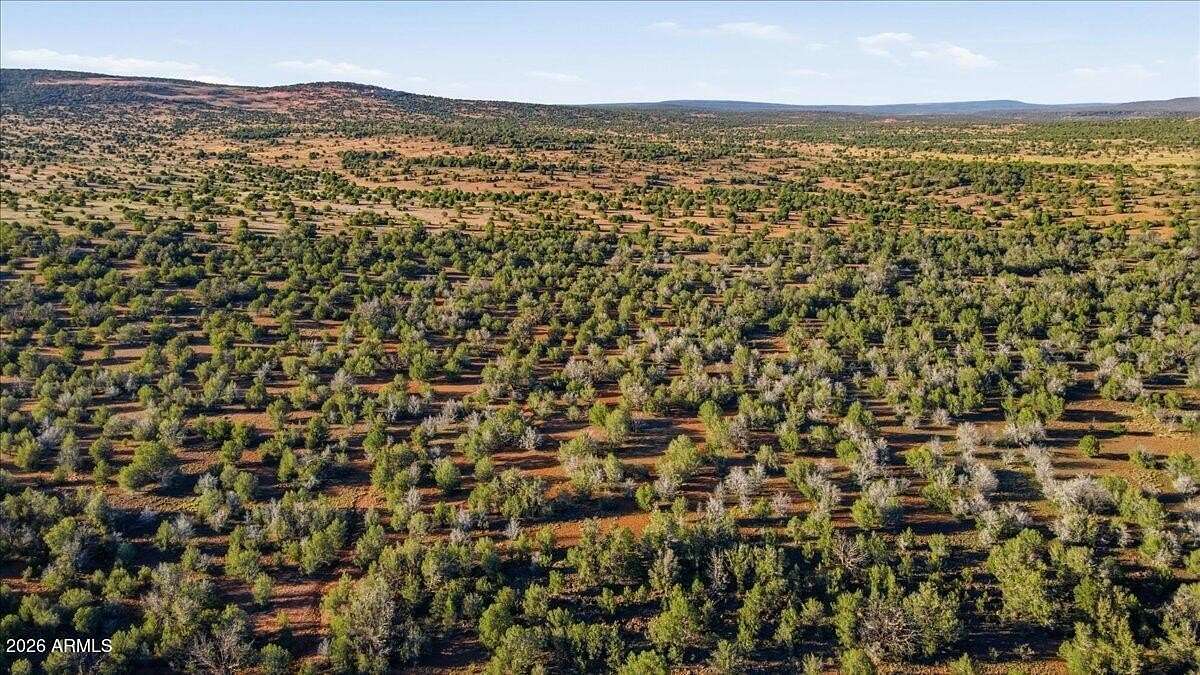 40.5 Acres of Recreational & Residential Land for Sale in Ash Fork, Arizona