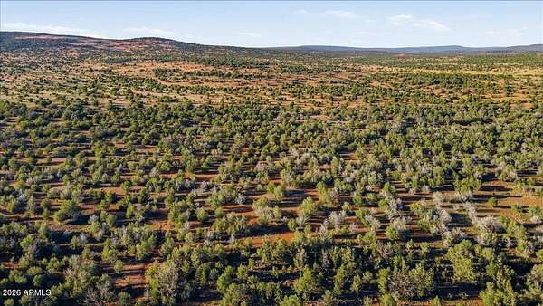 40.5 Acres of Recreational & Residential Land for Sale in Ash Fork, Arizona