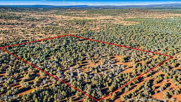 40.5 Acres of Recreational & Residential Land for Sale in Ash Fork, Arizona