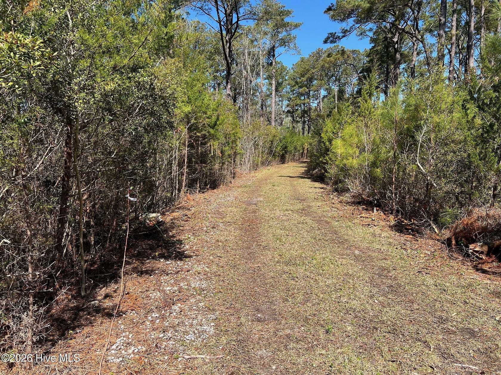 105 Acres of Recreational & Residential Land for Sale in Sea Level Township, North Carolina