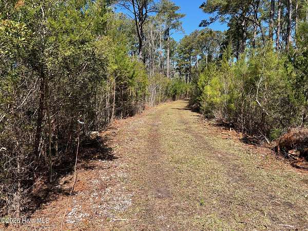 105 Acres of Recreational & Residential Land for Sale in Sea Level Township, North Carolina