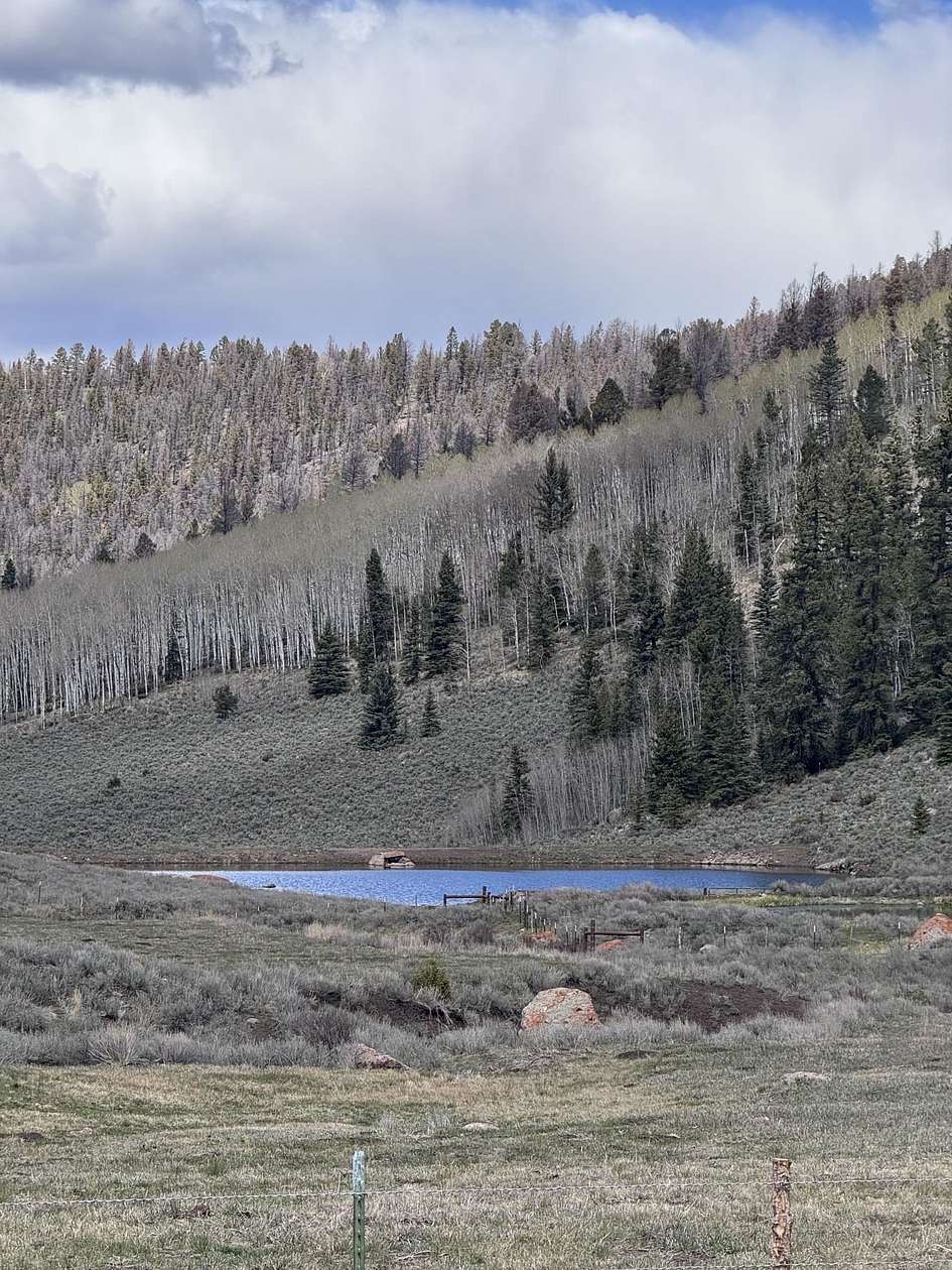 73 Acres of Land for Sale in Powderhorn, Colorado