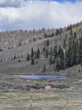 73 Acres of Land for Sale in Powderhorn, Colorado