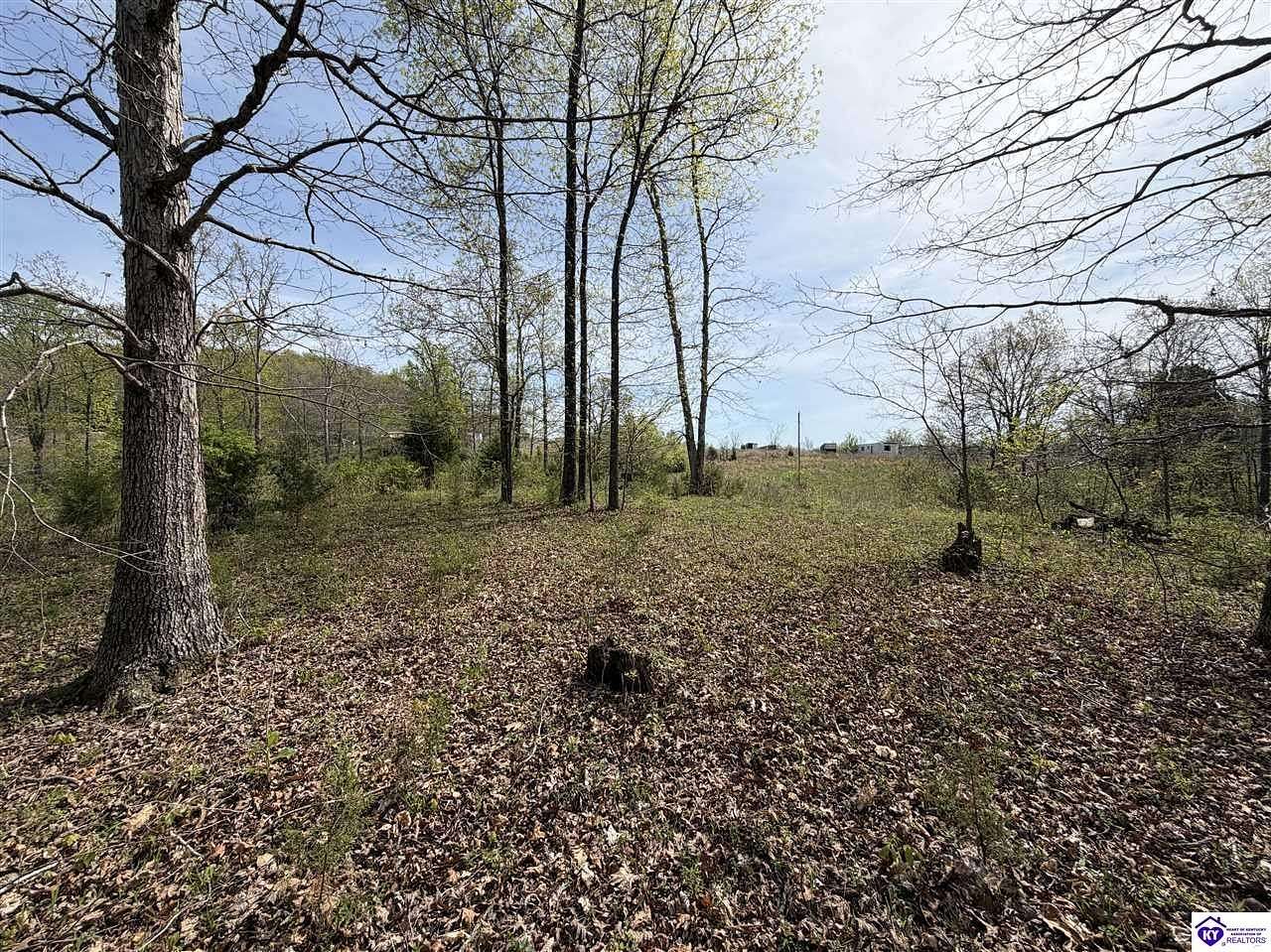10.3 Acres of Land for Auction in Hardinsburg, Kentucky