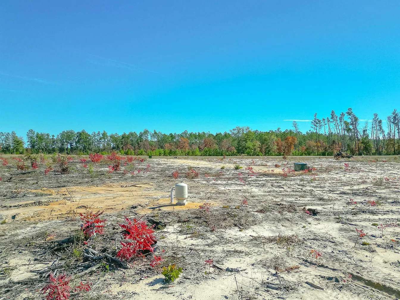 10 Acres of Residential Land for Sale in Bristol, Florida