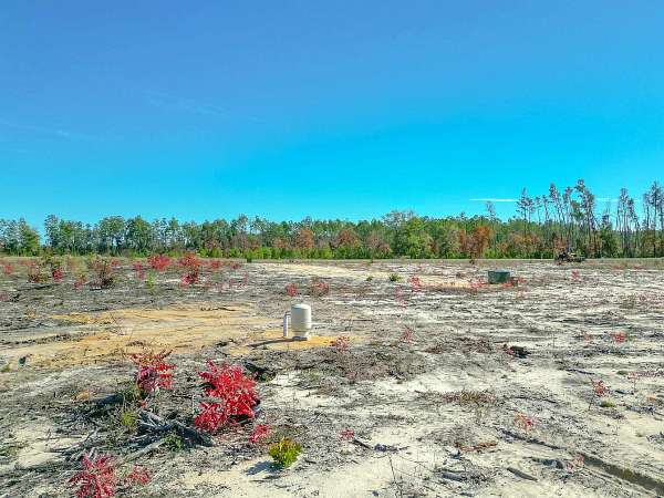 10 Acres of Residential Land for Sale in Bristol, Florida