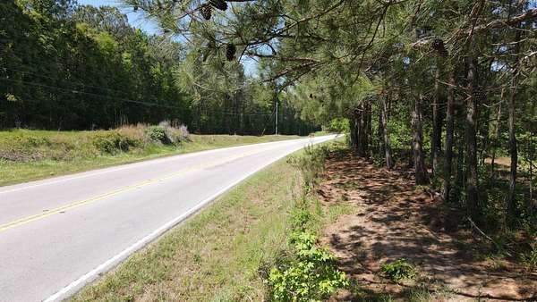 25 Acres of Land for Sale in Greenville, Georgia
