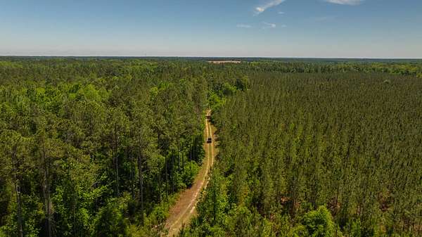 725 Acres of Land with Home for Auction in Eastman, Georgia
