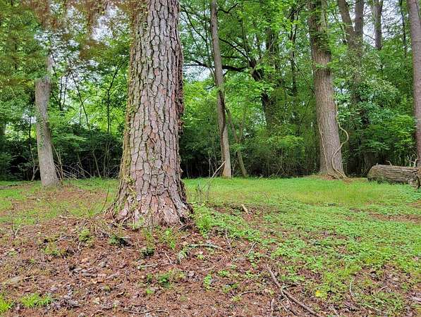 0.17 Acres of Land for Sale in LaFayette, Georgia