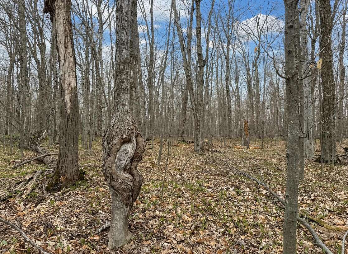 1.7 Acres of Land for Sale in Pellston, Michigan