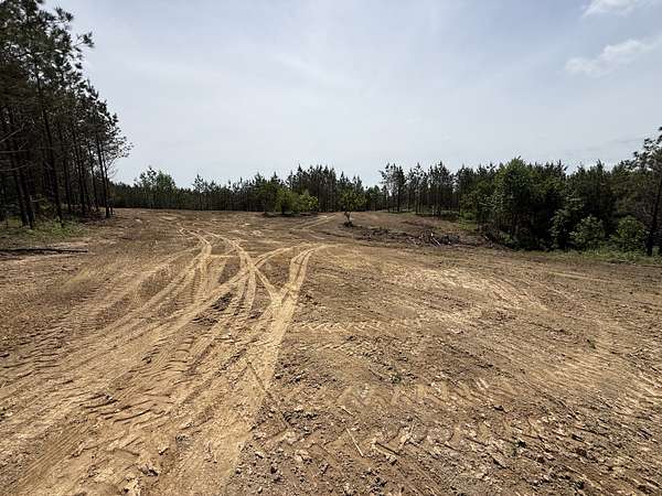 5 Acres of Residential Land for Sale in Erin, Tennessee