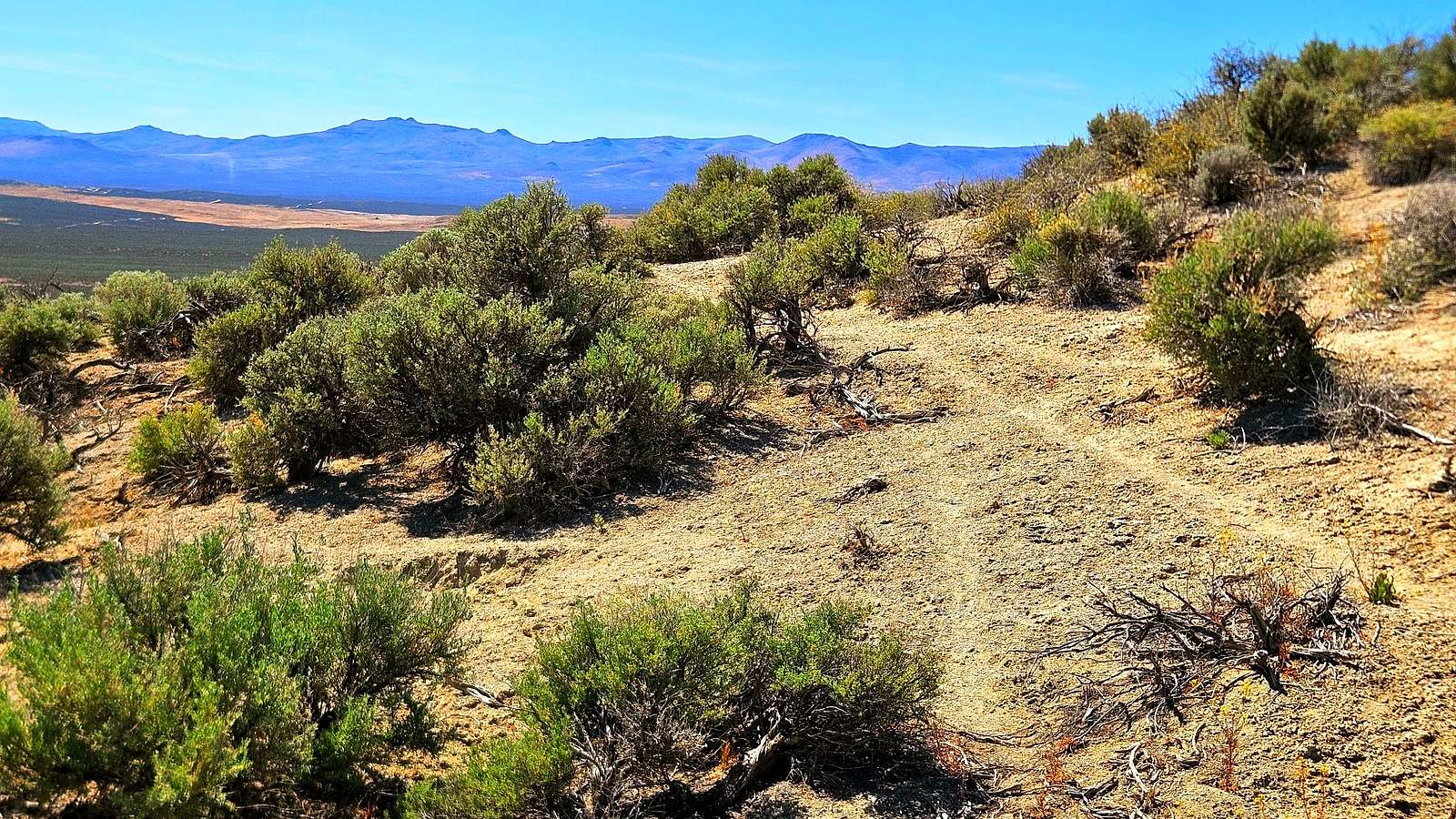 1.13 Acres of Residential Land for Sale in Elko, Nevada