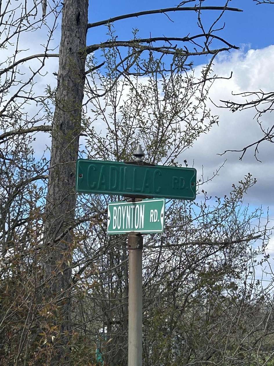 Land for Sale in Merritt, Michigan