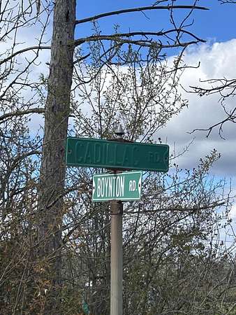 Land for Sale in Merritt, Michigan