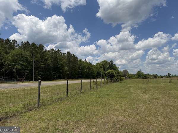 12 Acres of Recreational & Residential Land for Sale in Toomsboro, Georgia