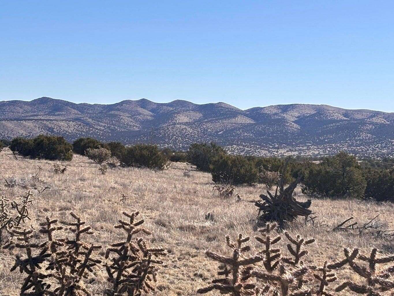 20.1 Acres of Recreational & Residential Land for Sale in Magdalena, New Mexico