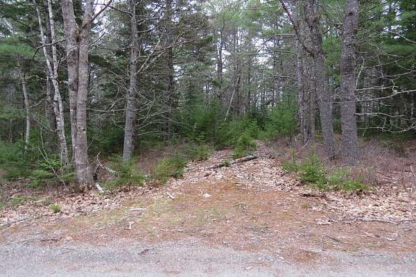 1.3 Acres of Residential Land for Sale in Sullivan, Maine