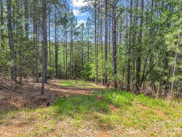 1 Acre of Residential Land for Sale in Mooresboro, North Carolina