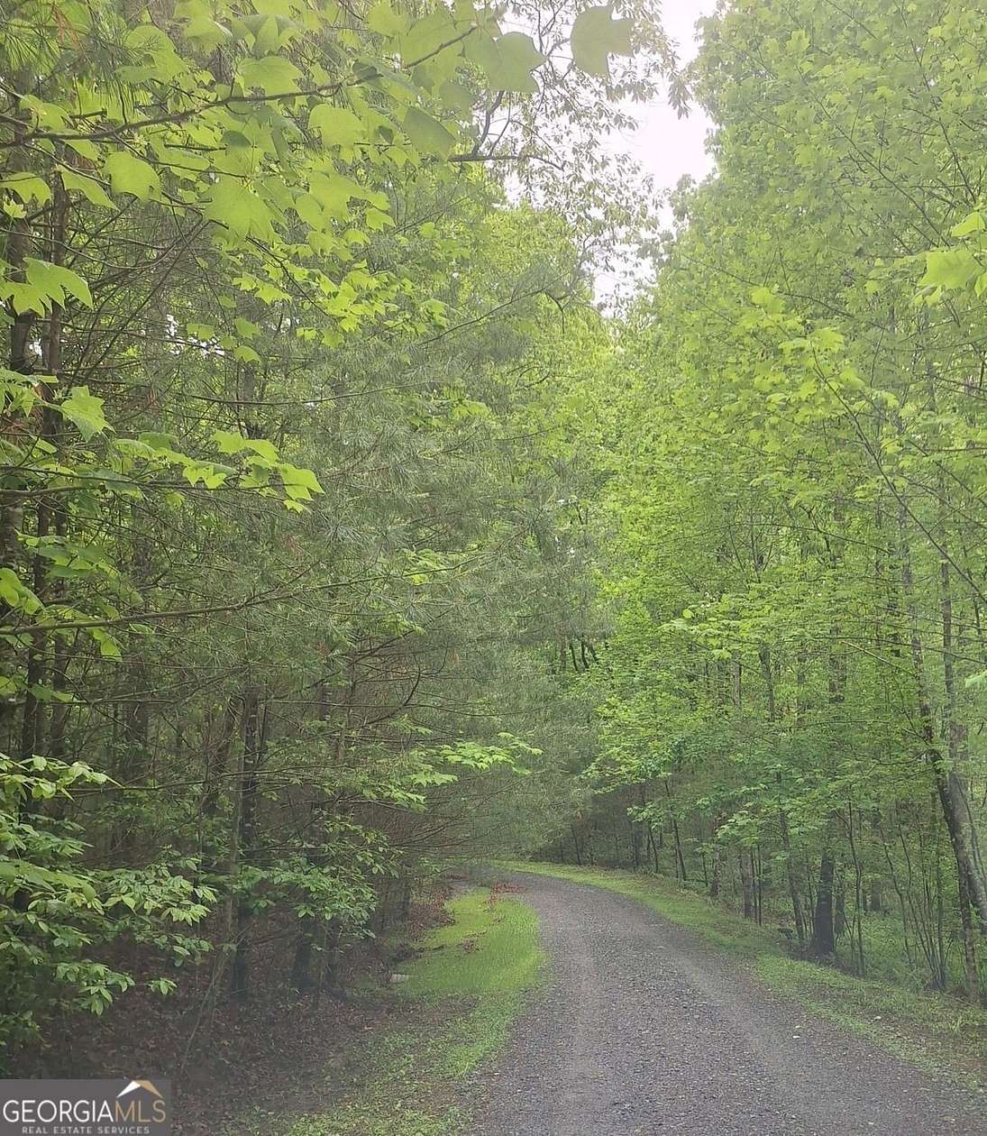 2 Acres of Land for Sale in Blue Ridge, Georgia