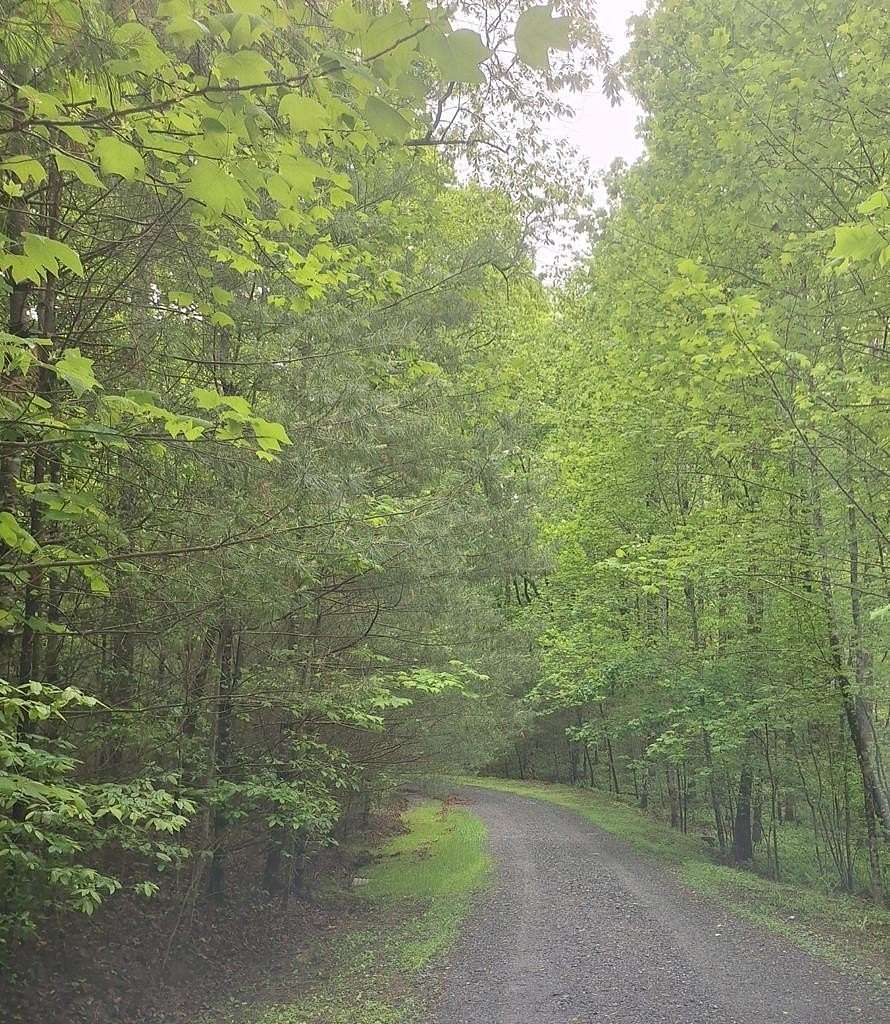 2 Acres of Land for Sale in Blue Ridge, Georgia