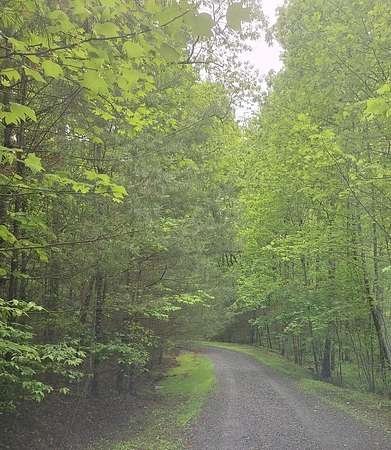 2 Acres of Land for Sale in Blue Ridge, Georgia