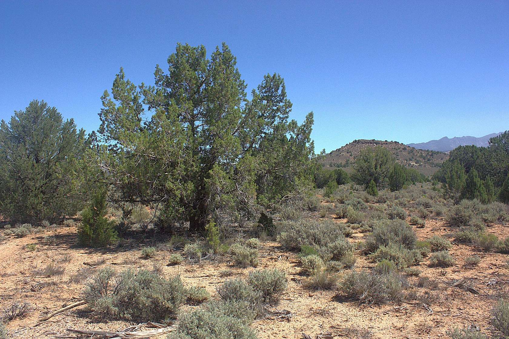 18 Acres of Land for Sale in Dammeron Valley, Utah