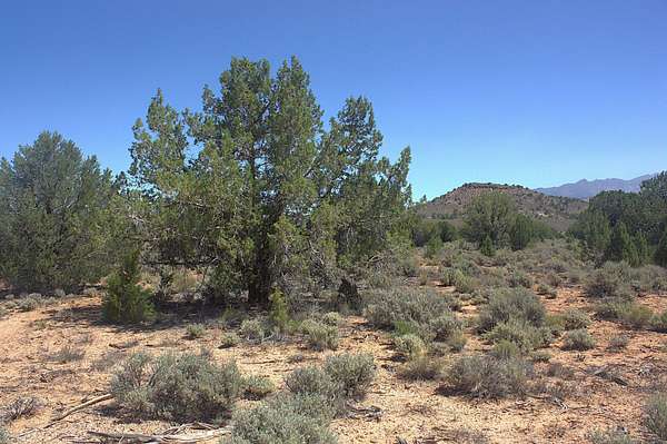 18 Acres of Land for Sale in Dammeron Valley, Utah
