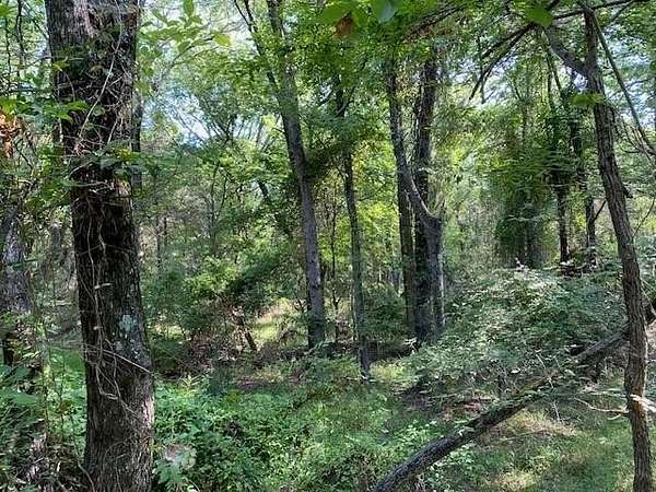 12.4 Acres of Land for Sale in Athens, Texas