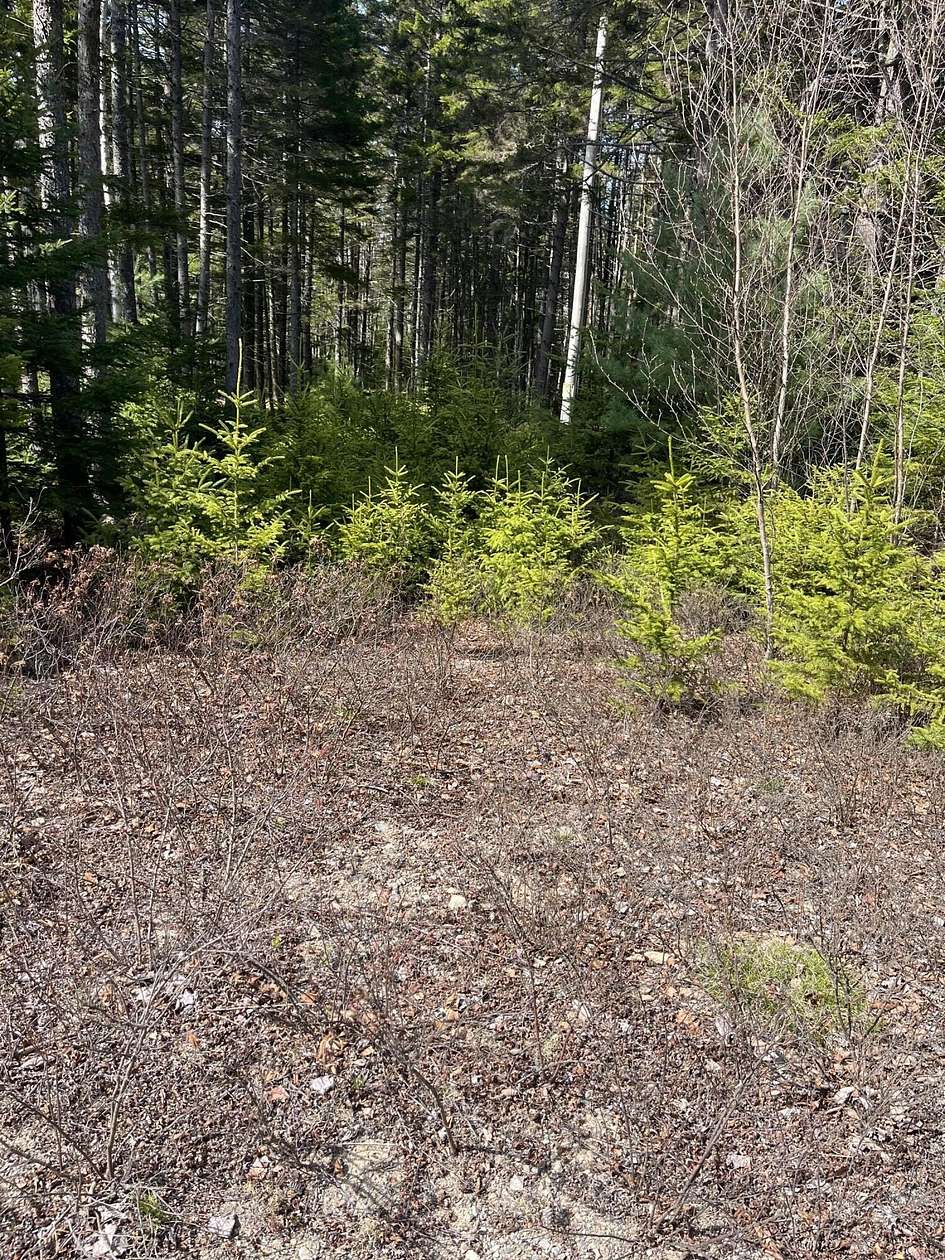 3.36 Acres of Residential Land for Sale in Steuben, Maine