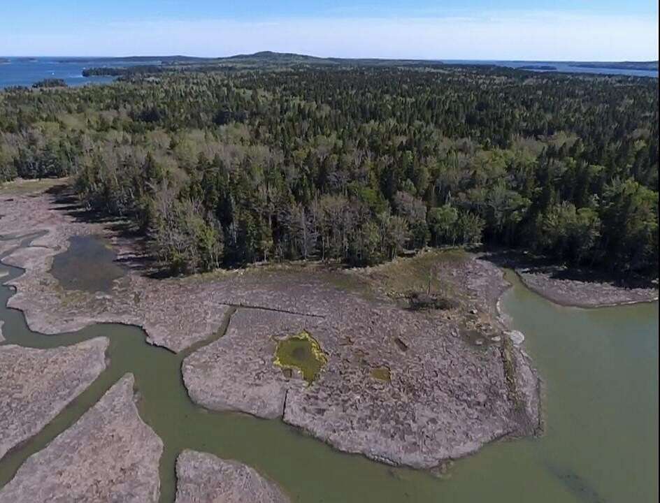 3.36 Acres of Residential Land for Sale in Steuben, Maine